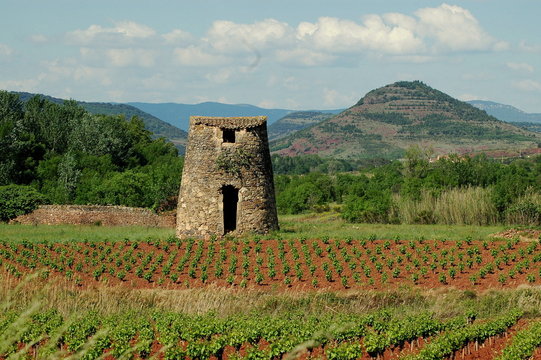 une capitelle