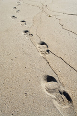 traces de pas