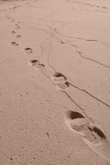 traces de pas