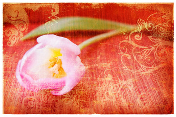 Grunge pink tulip page