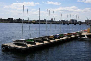sailboats