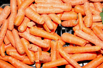 fruits and vegetables