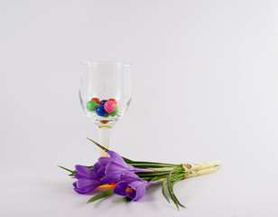 tulips and candy