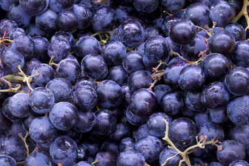blue grapes