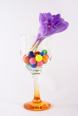 front view of tulip on glass