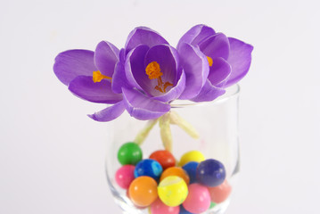 tulip and candy balls