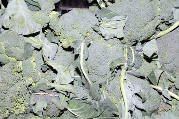 Fruits and vegetables