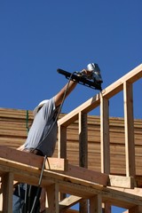 construction carpenter