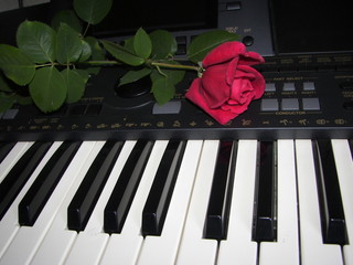 rose and keys