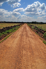 Fototapeta premium country road