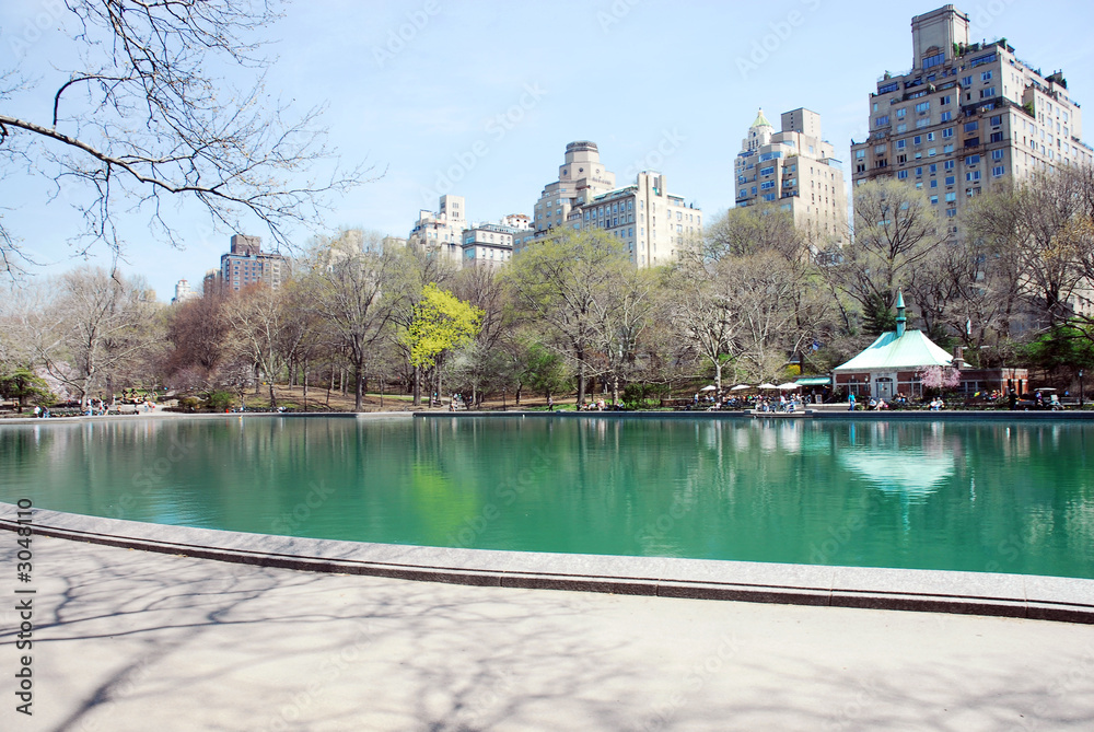 Wall mural central park in new york city