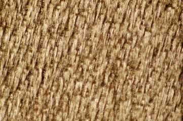 brown color clothes