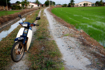road, motor bike and paddy field