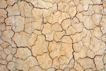 parched earth