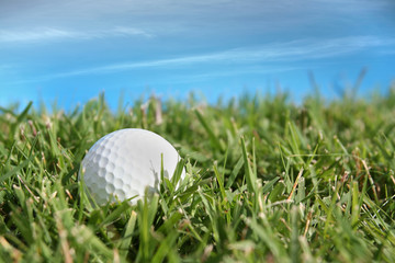 golf ball in the grass