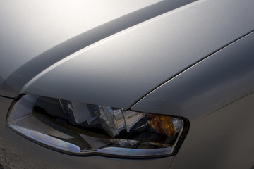 Obraz premium left wing