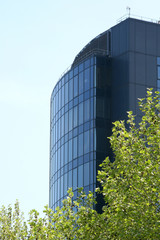 office building and tree