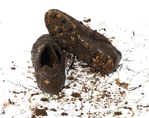 muddy football shoes after the game - 3053121