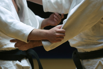 judo fight - 3053136