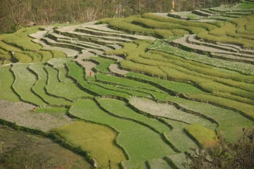 Cercles muraux Népal Rice Terrace