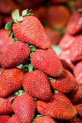 fresh strawberry