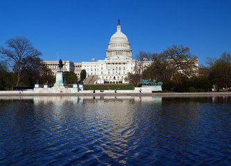 Fototapeta premium the capitol building in washington d.c.