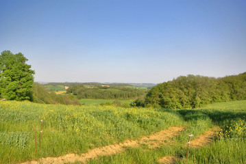 Obraz premium chemin de campagne