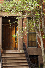 Blooming trees in front of typical Brooklyn brownstone on Brooklyn Heights neighborhood, New York City, USA