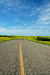 Naklejka premium mustard road