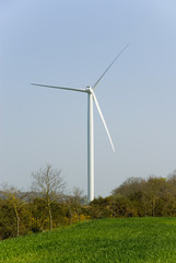 wind turbine in country