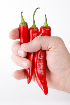 Hot Peppers In Hand