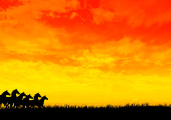 Fototapeta na wymiar konie w galopie, ilustracji cyfrowych