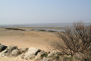 Fototapeta na wymiar littoral du bassin d'arcachon