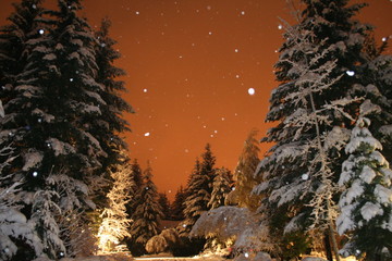 a winter's night