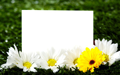 blank note card with daisies