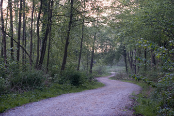 Fototapeta premium the future road