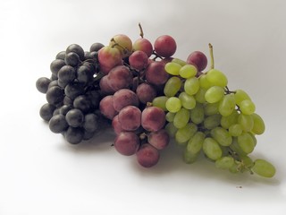three-colours grapes