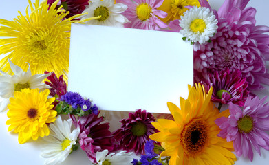 blank note-card with assorted spring flowers