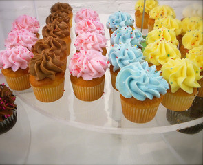 colorful cupcakes