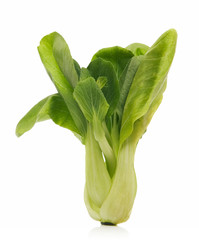 bok choy