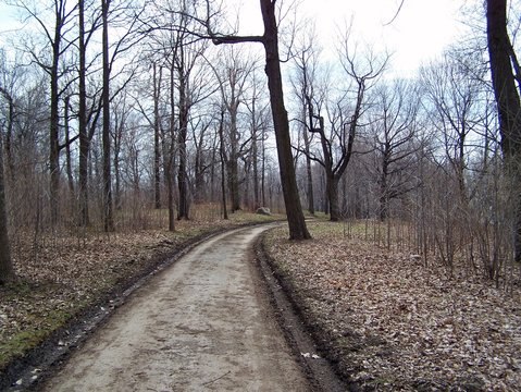 a little path