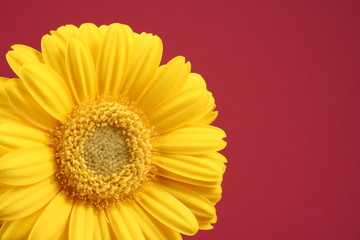 bright
