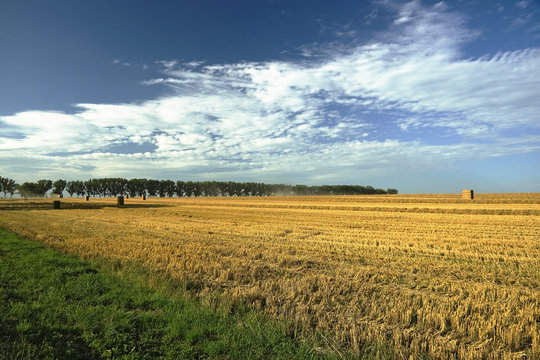 herbst