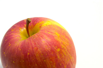 the apple