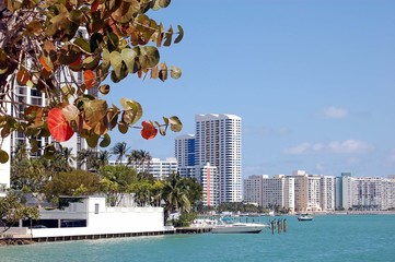 venetia cause panoramic view