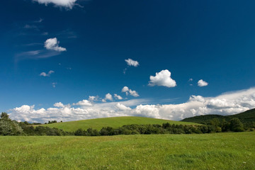 summer cloudscape and green meadows - obrazy, fototapety, plakaty