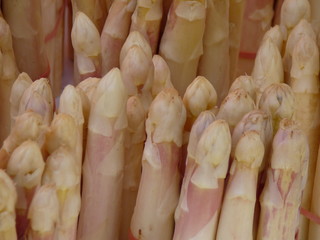 spargel