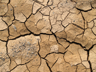cracked earth