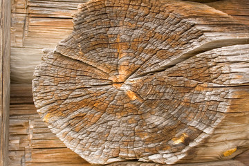 Fototapeta premium wood texture