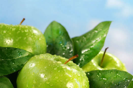 green apples against a sunny blue sky
